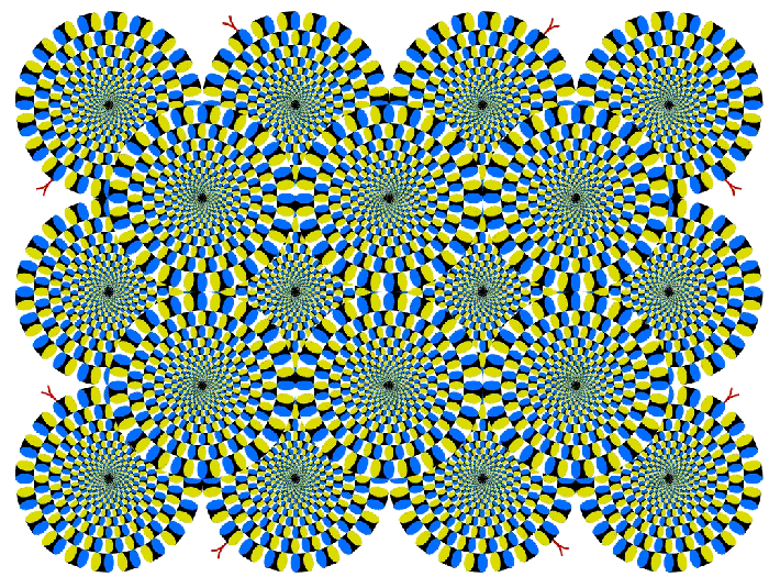 illusioncircles700.gif